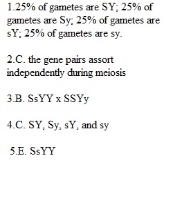 Week 5 Homework 2